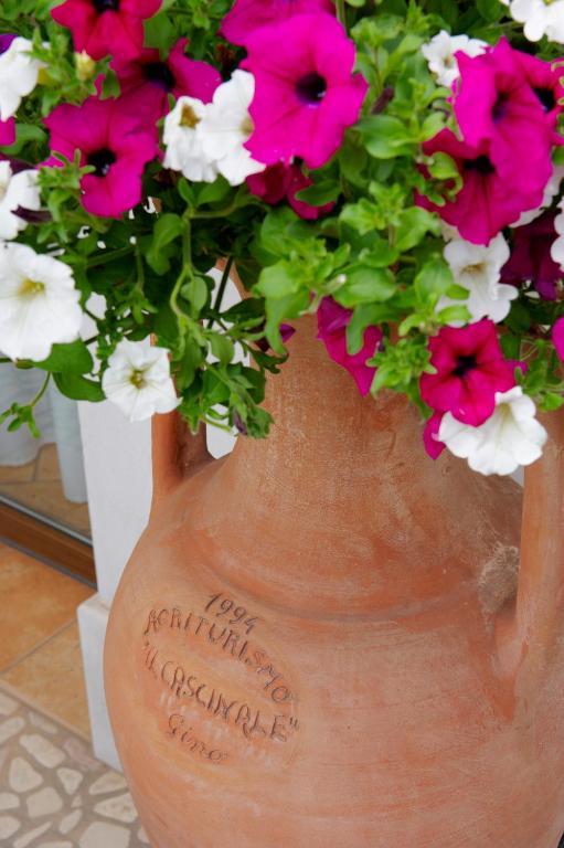 Agriturismo Il Cascinale Treviso Bagian luar foto