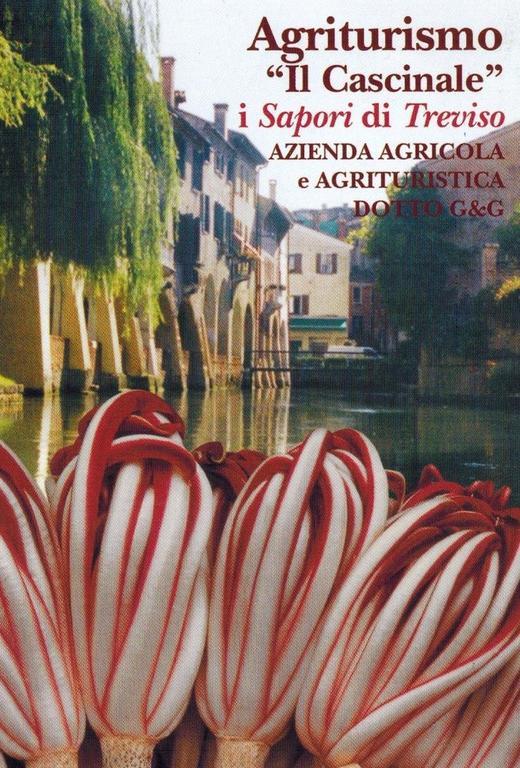 Agriturismo Il Cascinale Treviso Bagian luar foto